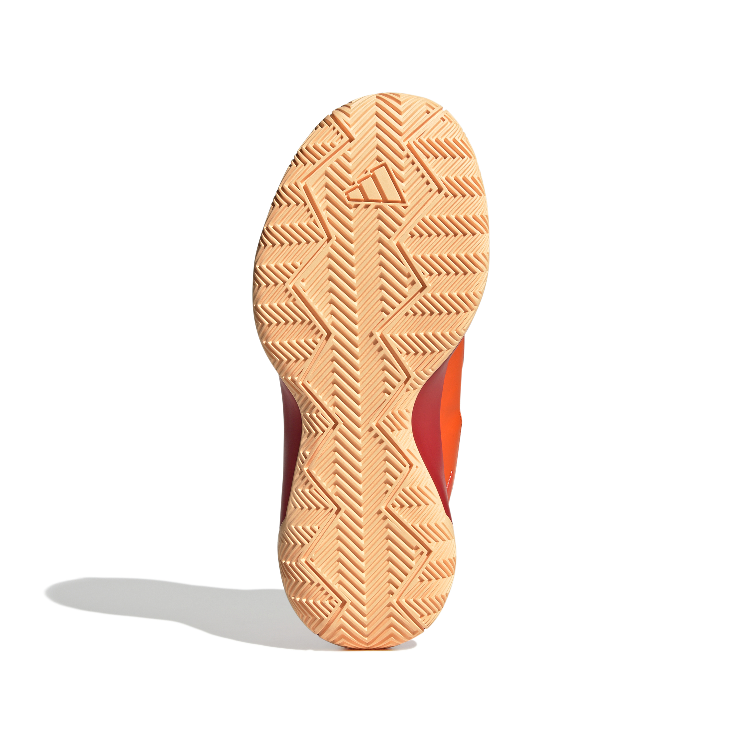 Zapatilla