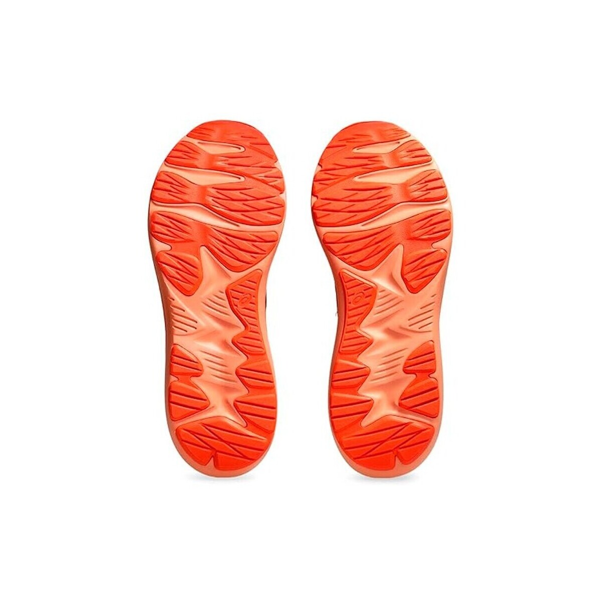 Zapatilla