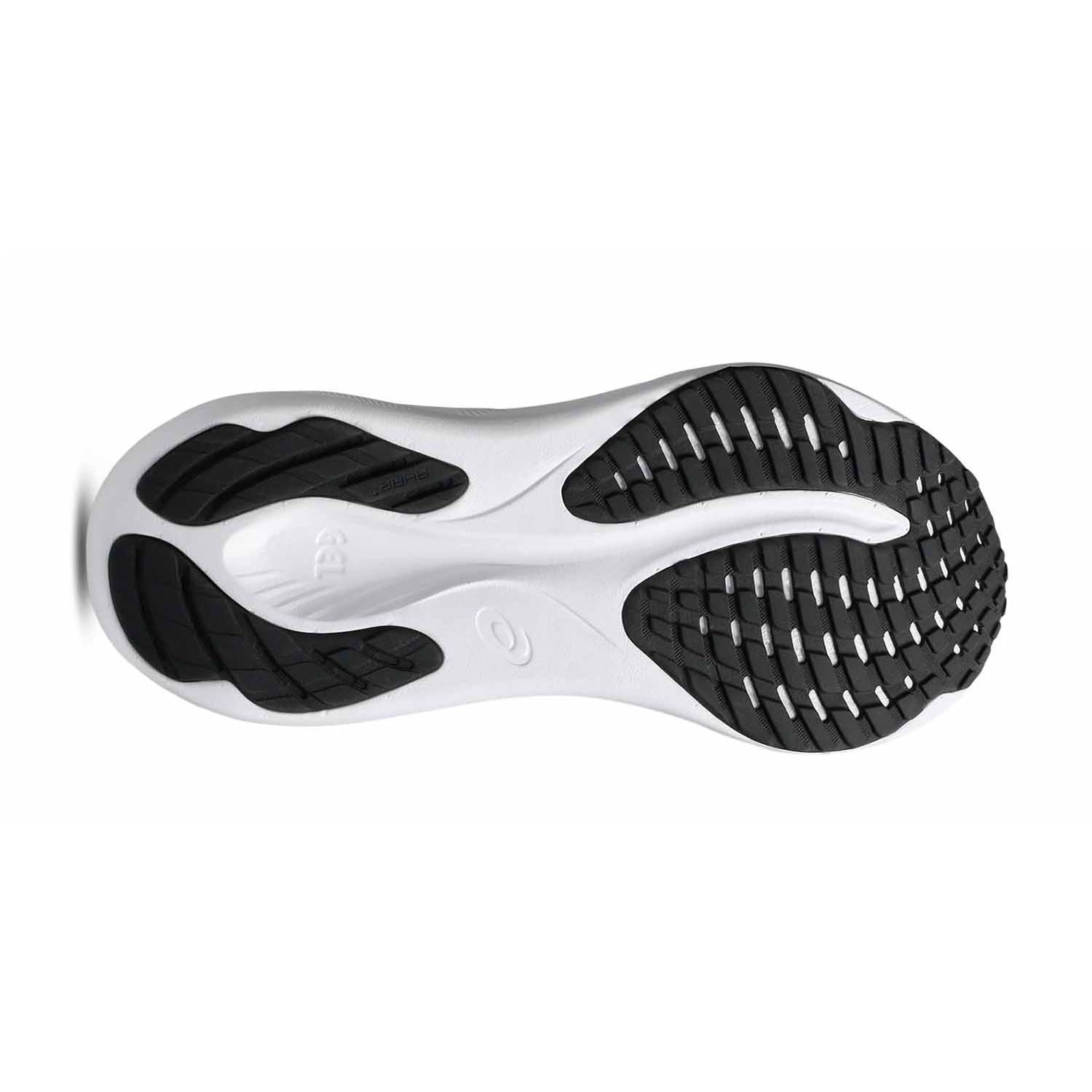 Zapatilla