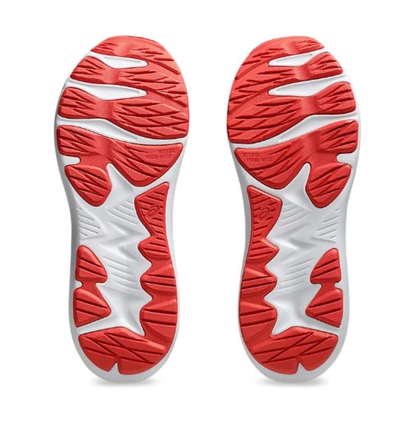 Zapatilla