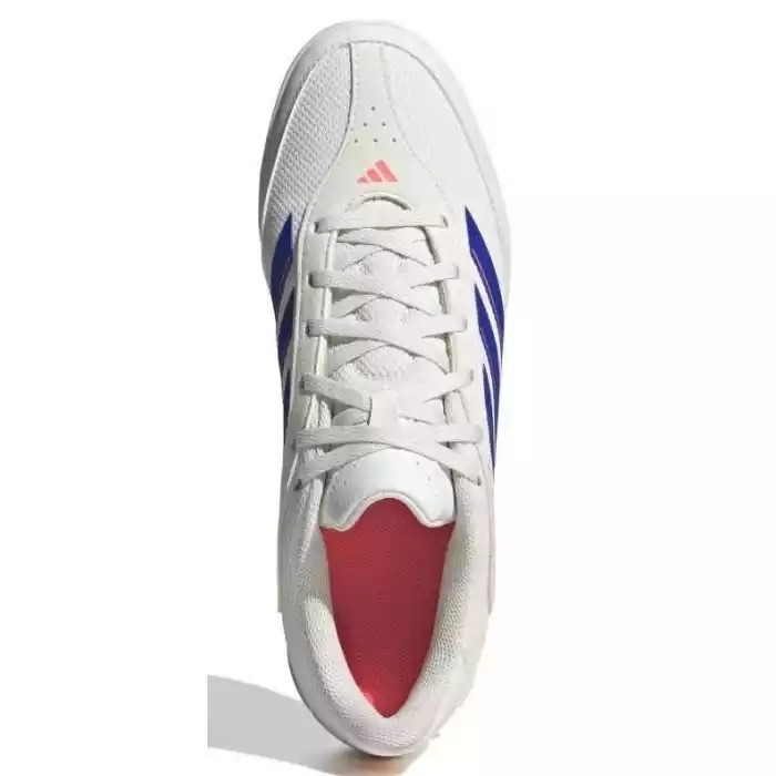 Zapatilla
