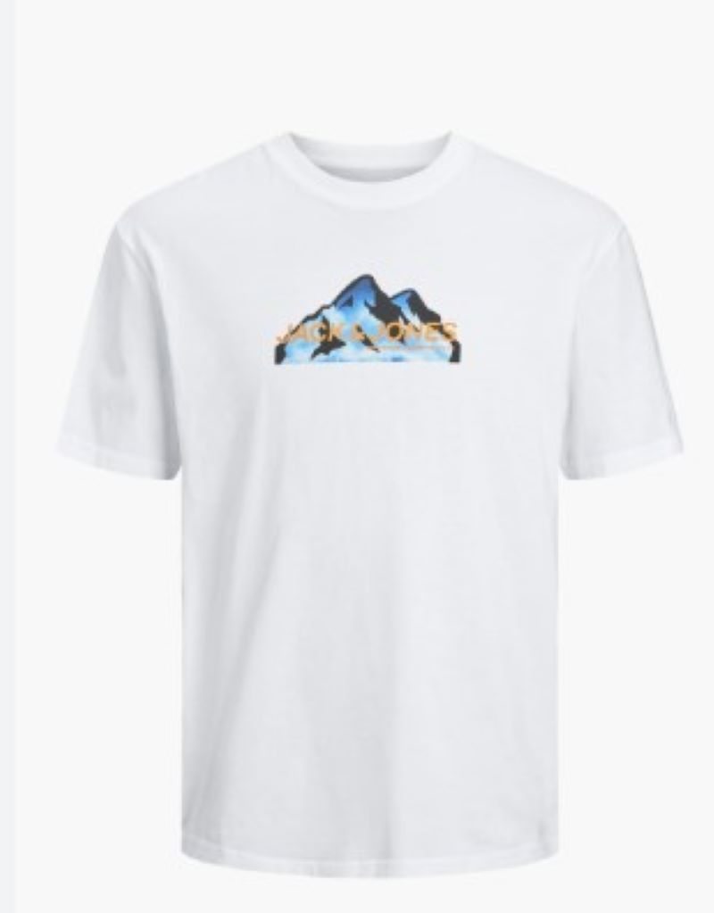 Camiseta